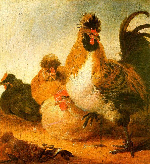 Aelbert Cuyp Rooster Hens oil painting image